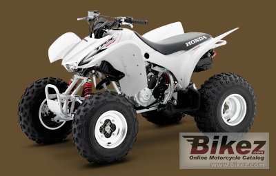 2010 Honda TRX300X photo